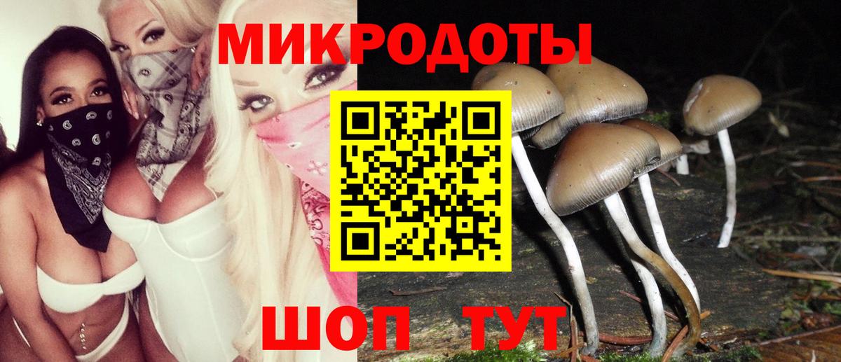 Псилоцибиновые грибы GOLDEN TEACHER  Псилоцибиновые грибы Psilocybine cubensis  наркотики  Вход с VPN  Каспийск 