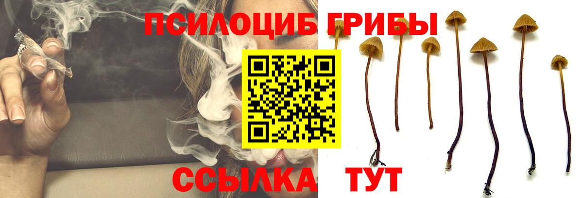 Галлюциногенные грибы ЛСД Каспийск